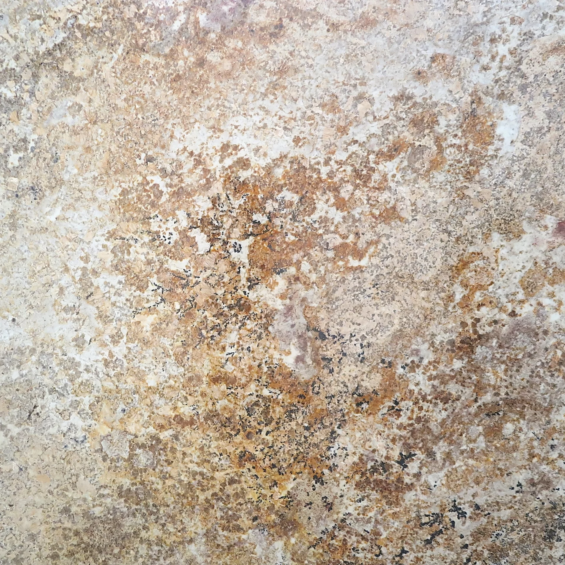 Bellini Slab1