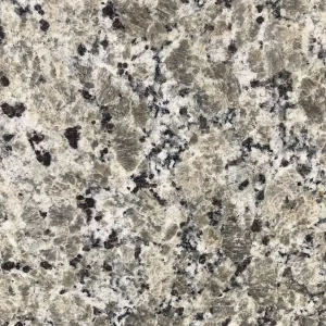 Butterfly Beige granite slab