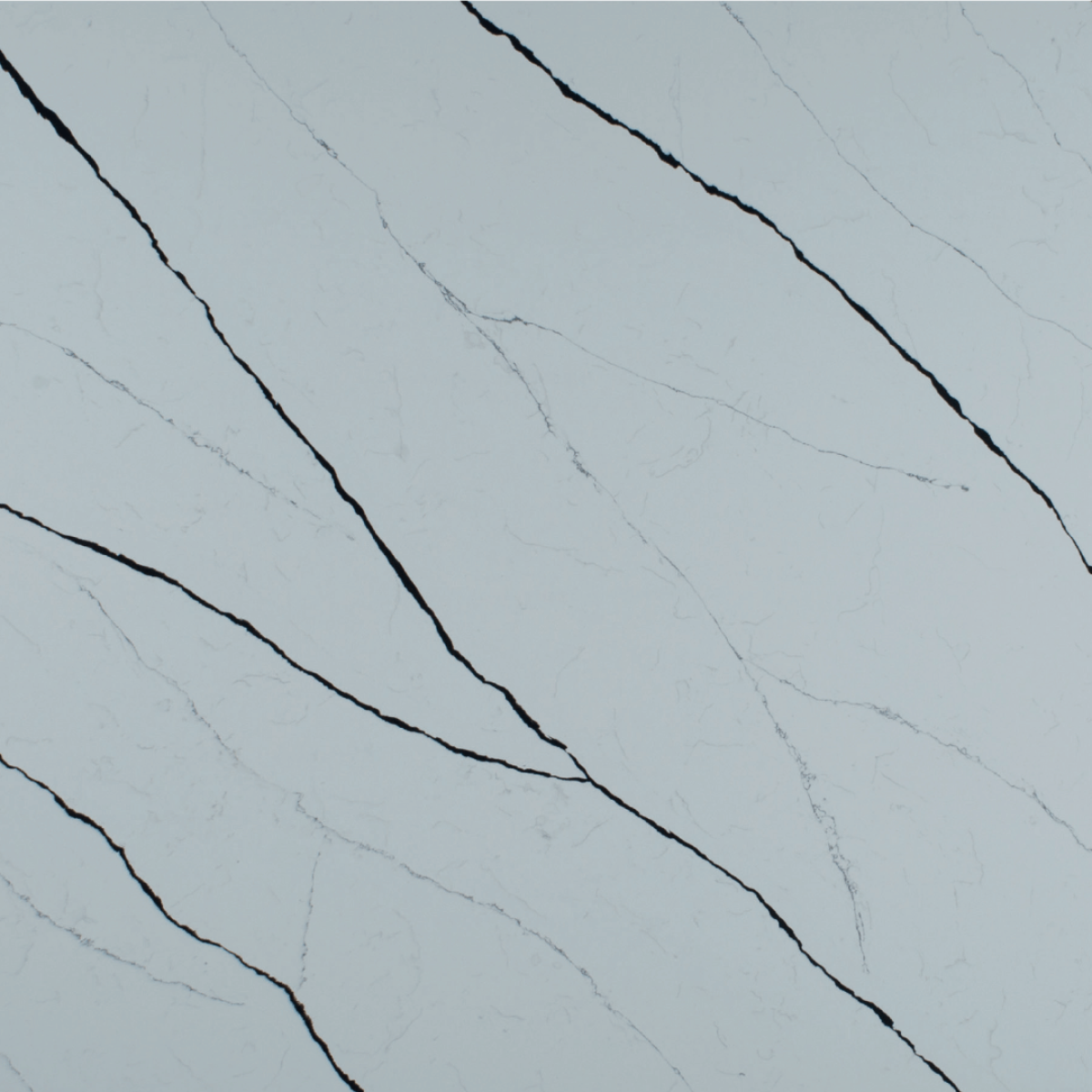Calacatta Rainforest Black
