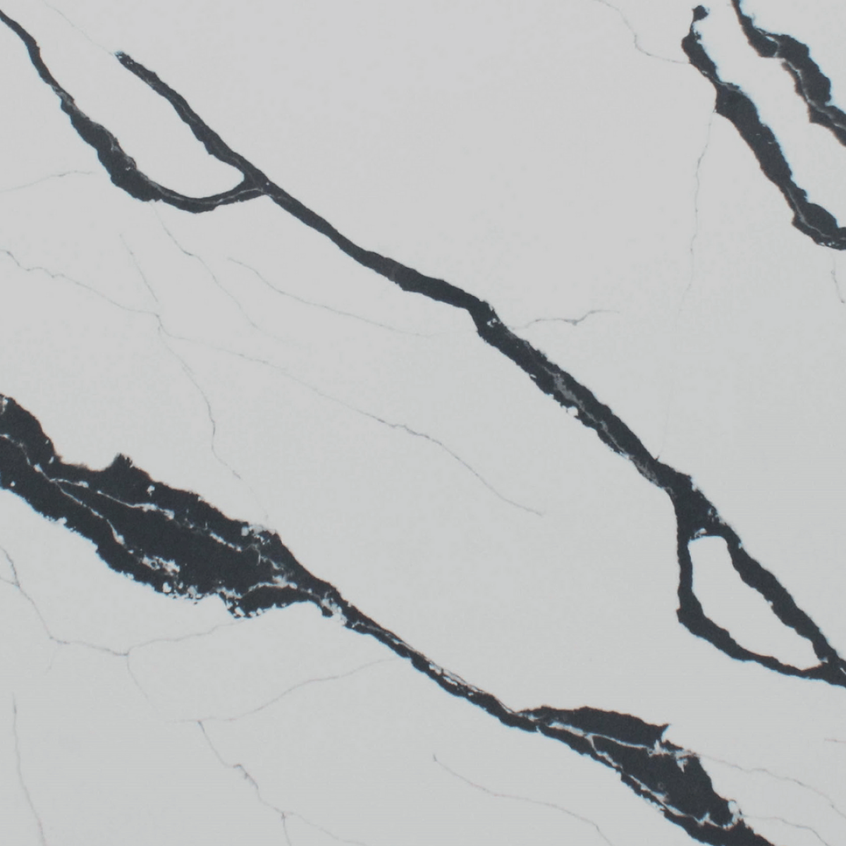 Calacatta Borghini Black