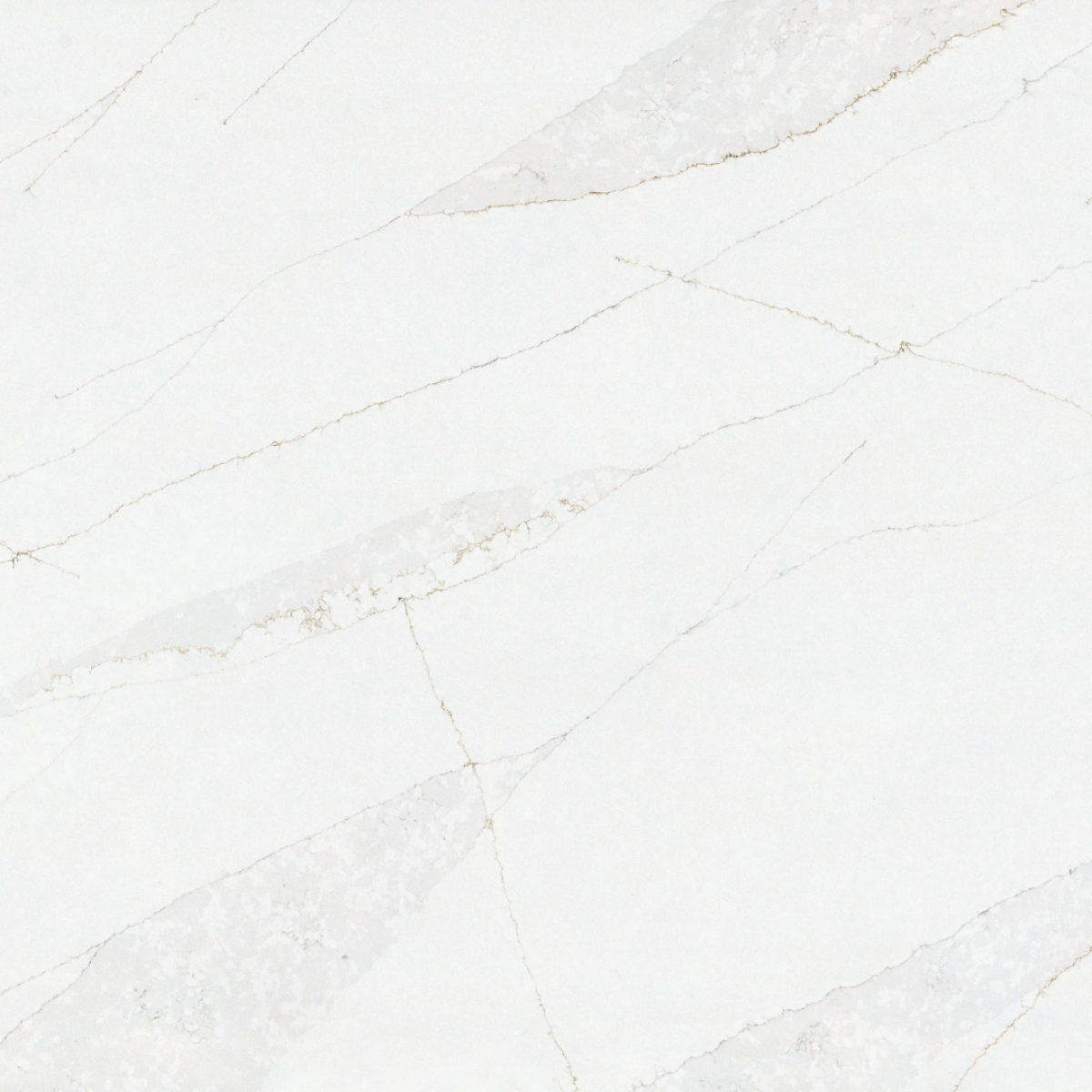 Calacatta Venatino Gold