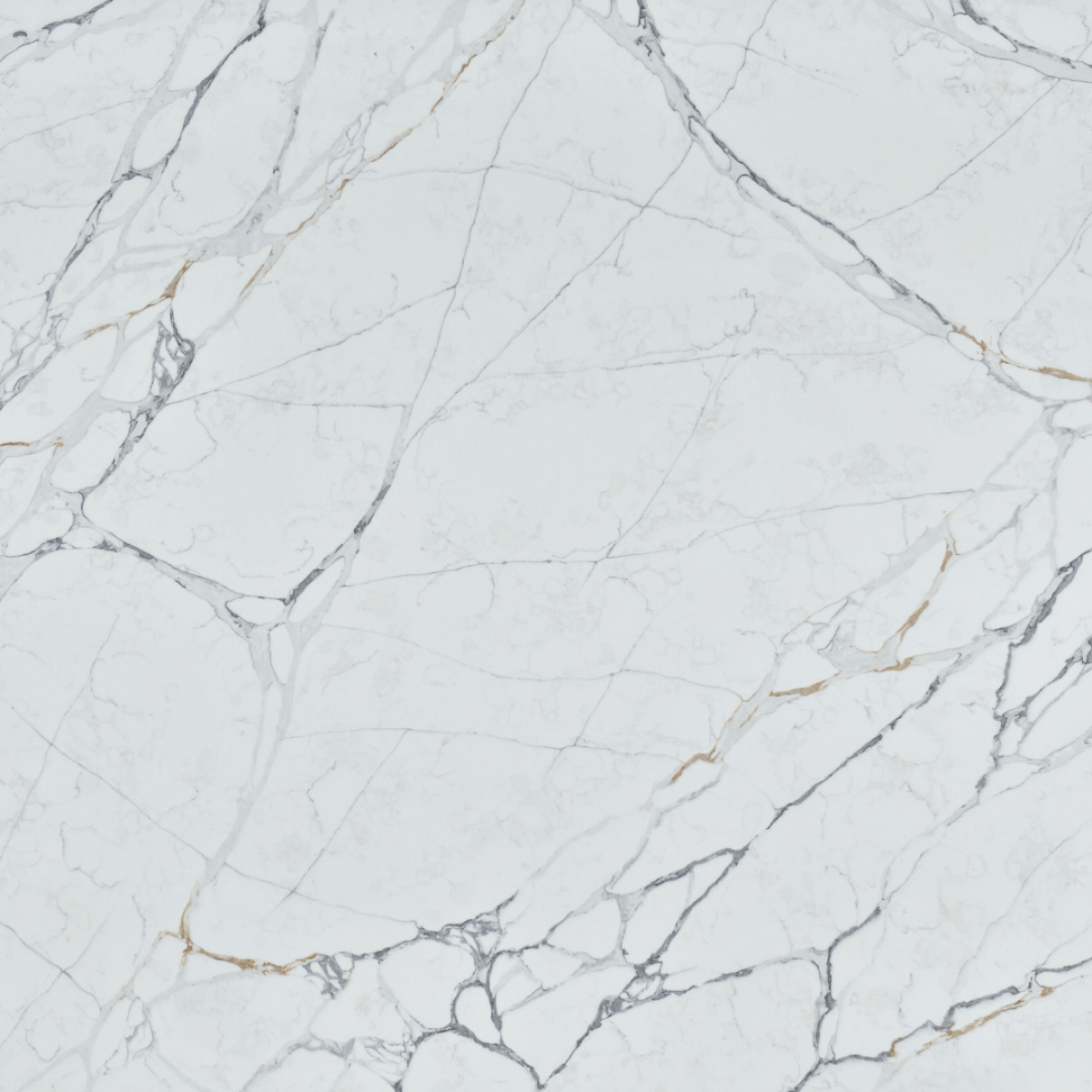 Stuaturio White