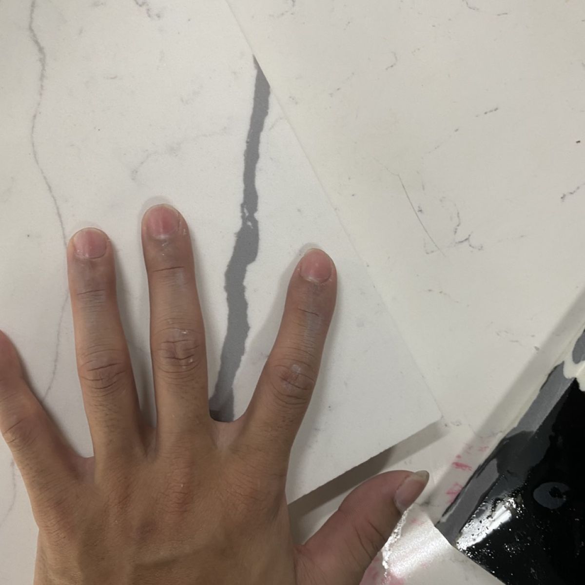 Rainforest Gray 2