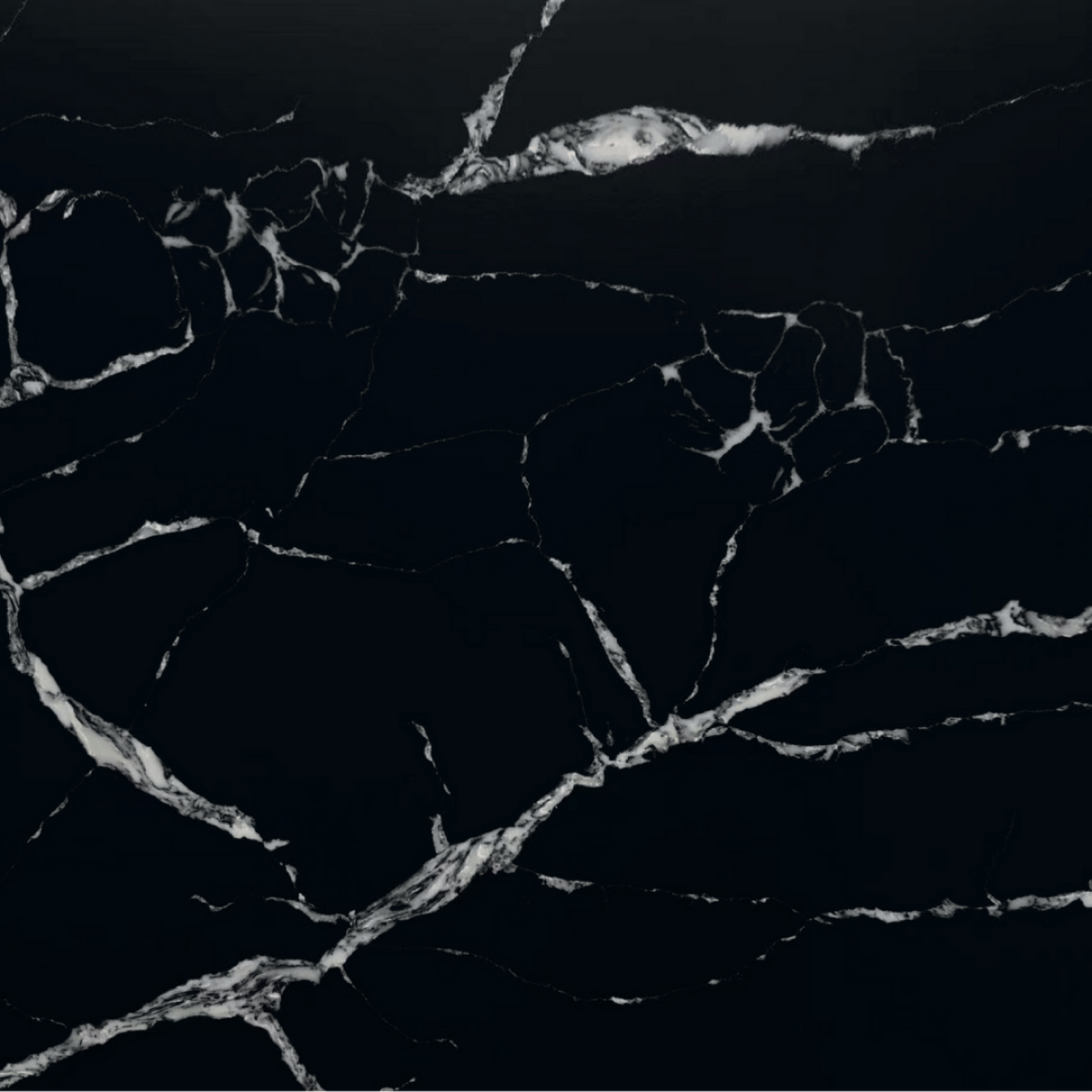 Calacatta Black Diamond
