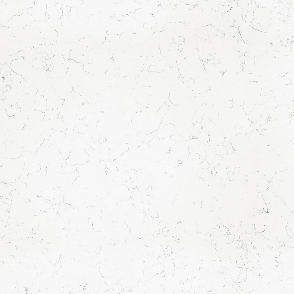 Carrara Nuova