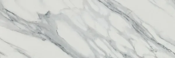 Jasmine hd